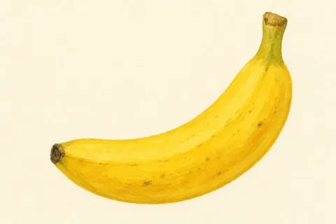 banana — the illustration on its card