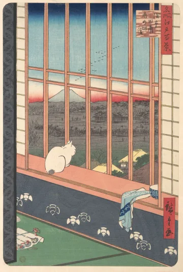 The Cat at the Window
