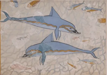 The Dolphins