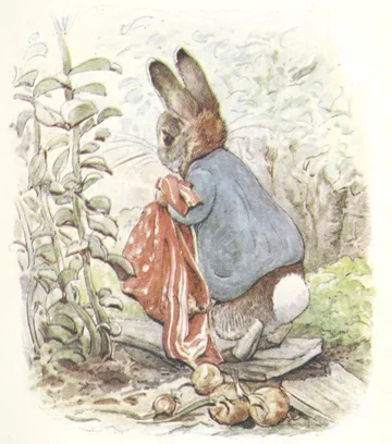 Peter Rabbit